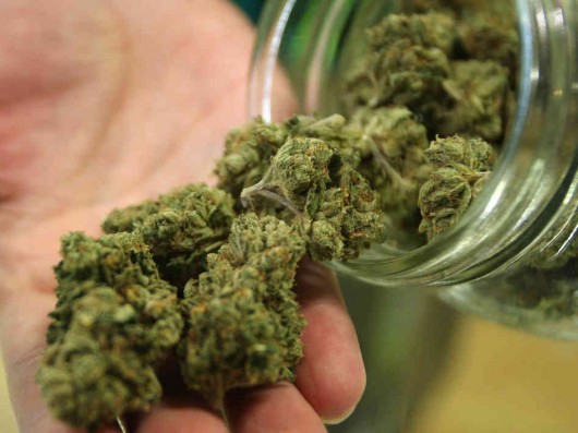 Skagway Assembly starts discussion of marijuana legalization