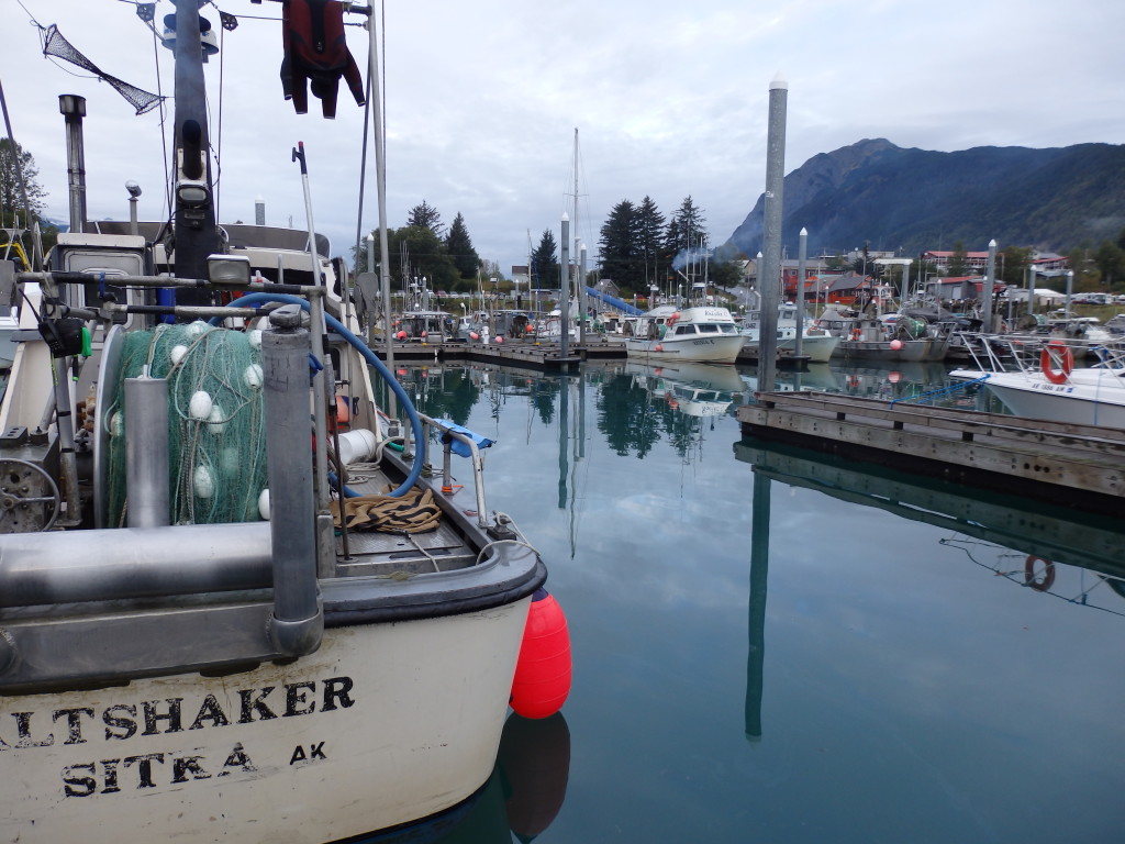 Fishing boats in the Haines small boat harbor. (Jillian Rogers)