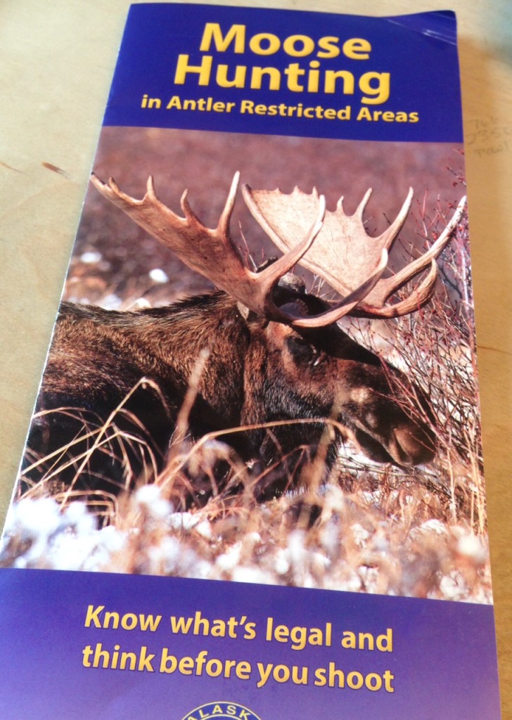 Moose hunting season starts today. (Jillian Rogers)