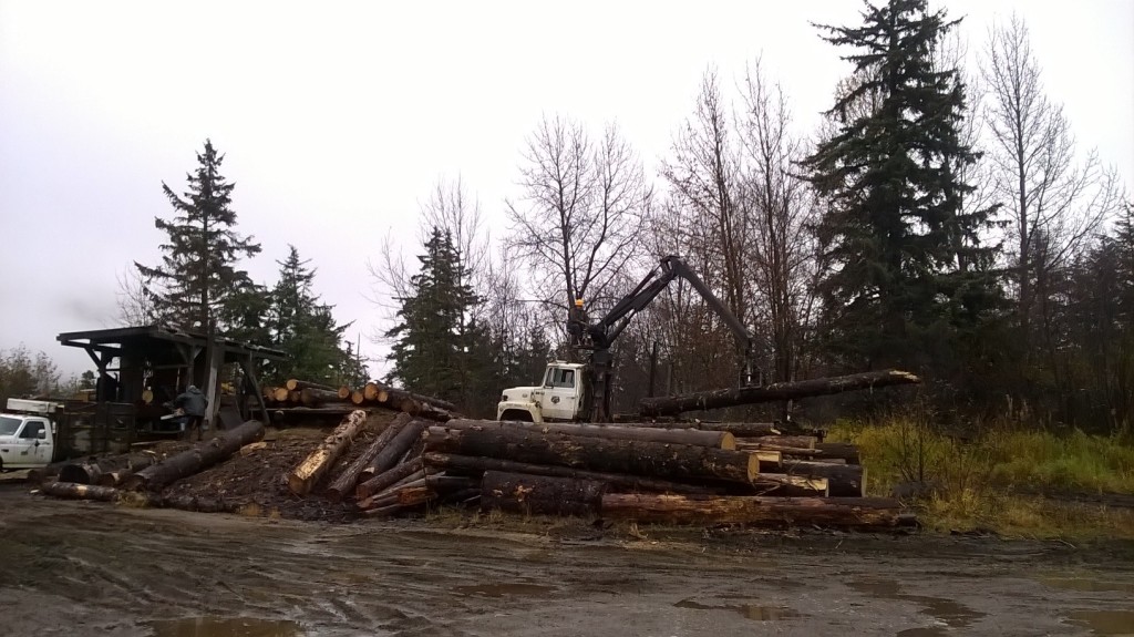 Local timber operator The Stump Company at work in October. (Emily Files)