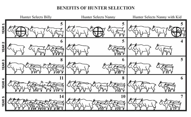 A chart by Biologist Kevin White about the potential benefits of hunter selection. 