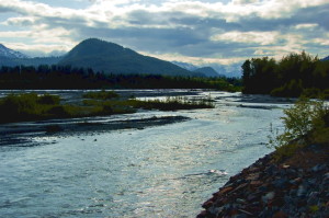 The Chilkat River in 2009. The river is one of the four bodies of water nominated for Tier 3 protection. (Dave Bezaire/Flickr Creative Commons)