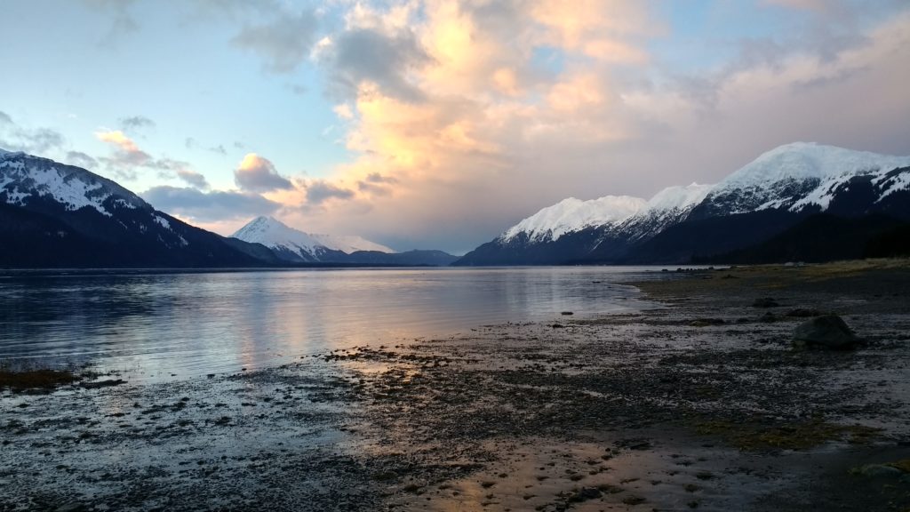 The Chilkat River beach is one area Richardson proposes to include in his shuttle route. (Emily Files)