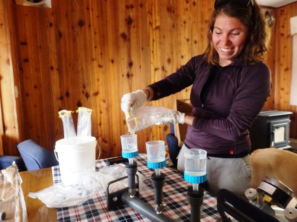 Meredith Pochardt filters Chilkoot River water samples for eDNA testing. (Emily Files)
