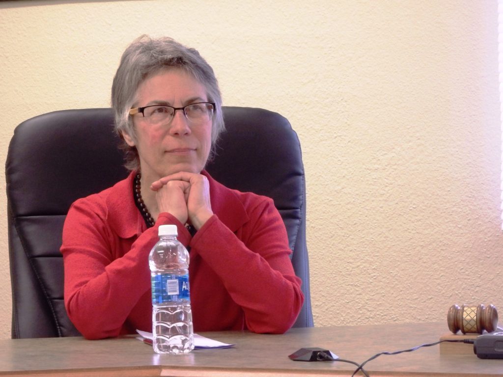Debra Schnabel during an interview with the assembly. (Emily Files)
