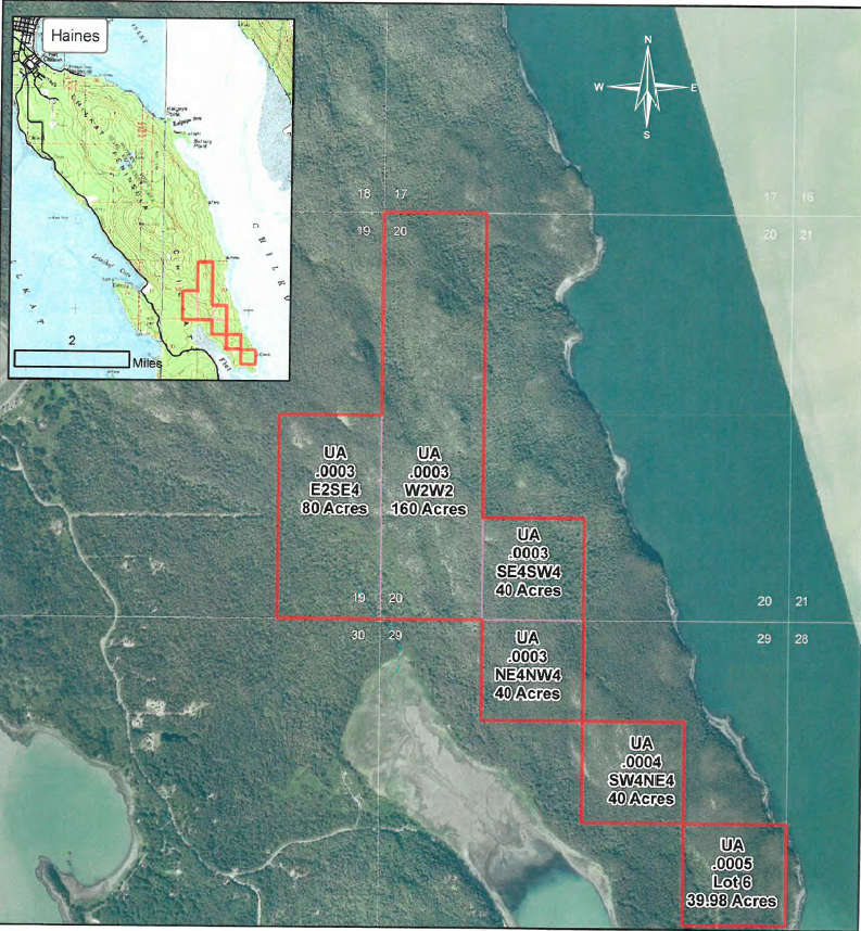 University offers 400 acres on Chilkat Peninsula for timber sale