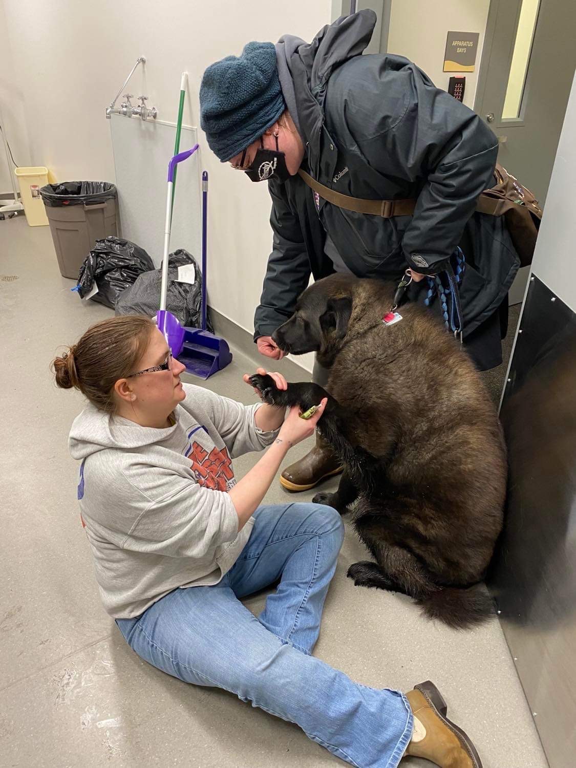 Pet care in North Lynn Canal faces fewer options as Juneau vet closes | KHNS Radio 83 Nail Trim Clinic