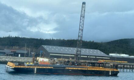 Skagway will foot the bill for broken float dock – for now